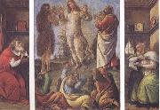 Sandro Botticelli Transfiguration,with St Jerome(at left) and St Augustine(at right) oil on canvas